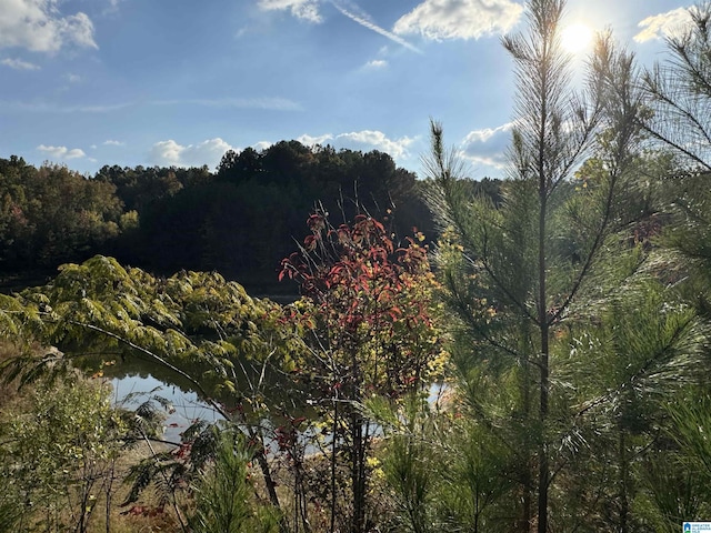 520 Highland Lakes Blvd Unit 7, Anniston, AL 36207