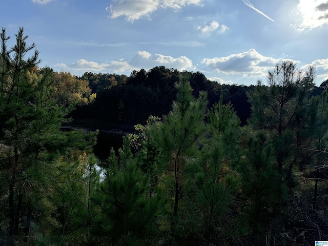 520 Highland Lakes Blvd Unit 7, Anniston, AL 36207