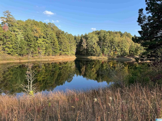 520 Highland Lakes Blvd Unit 7, Anniston, AL 36207