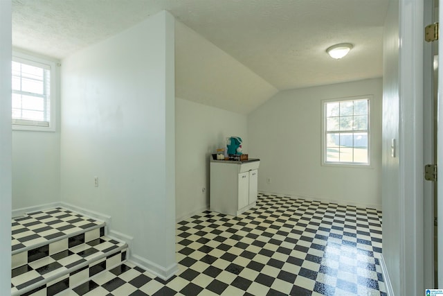 bonus room featuring vaulted ceiling, a textured ceiling, and a wealth of natural light