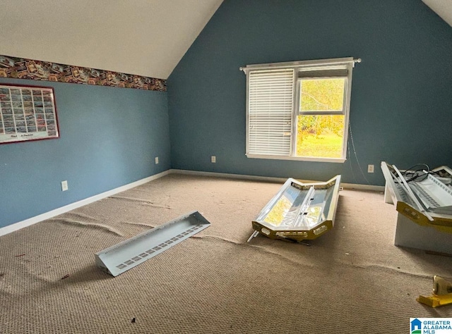 additional living space featuring carpet floors and lofted ceiling