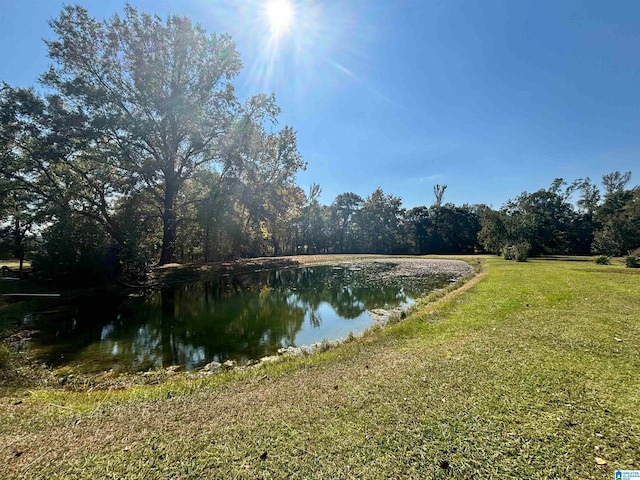 view of water feature