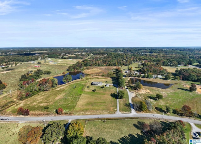 drone / aerial view with a water view and a rural view