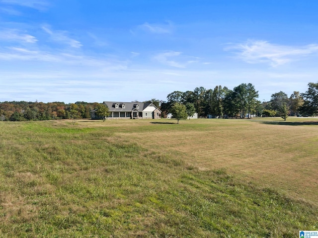 view of yard with a rural view