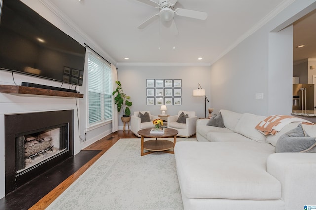 living room featuring ceiling fan, ornamental molding, and dark hardwood / wood-style floors