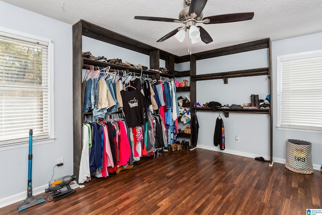 walk in closet featuring ceiling fan and dark hardwood / wood-style flooring