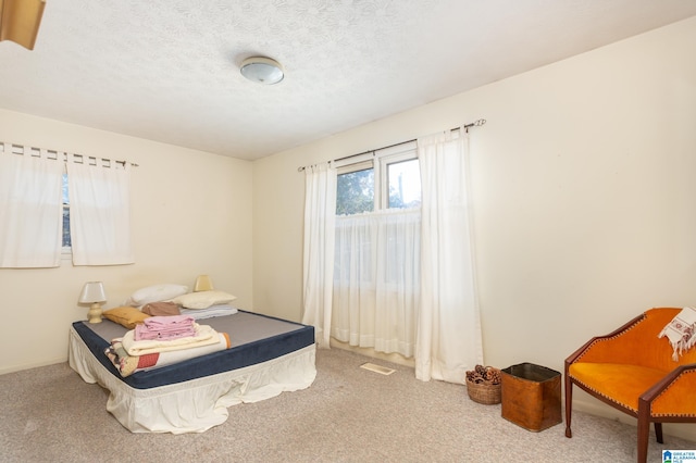 bedroom with carpet and a textured ceiling