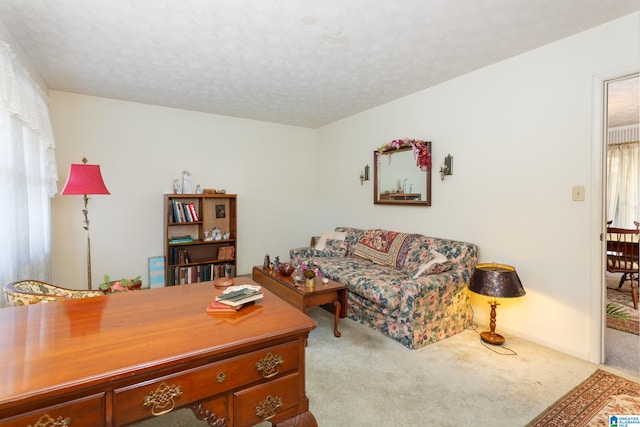 living room featuring a textured ceiling, light colored carpet, and plenty of natural light