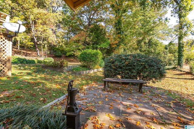 view of yard with a patio