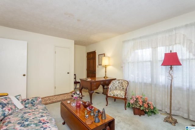 carpeted living room with a textured ceiling