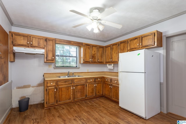 kitchen featuring ceiling fan, light wood-type flooring, crown molding, white fridge, and sink