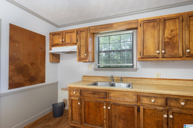 kitchen with sink, crown molding, and hardwood / wood-style flooring