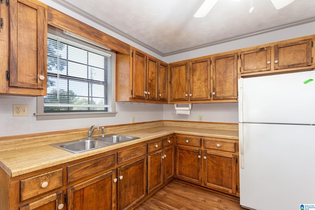 kitchen with light hardwood / wood-style floors, ornamental molding, white fridge, and sink