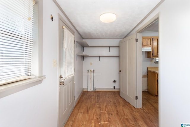 washroom featuring ornamental molding, a wealth of natural light, and light wood-type flooring