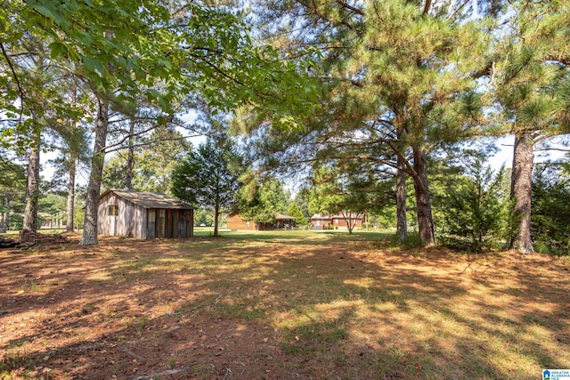 view of yard with a storage unit