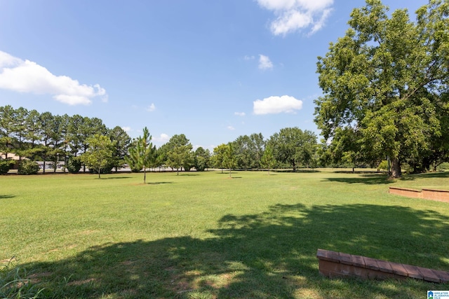 view of community featuring a yard