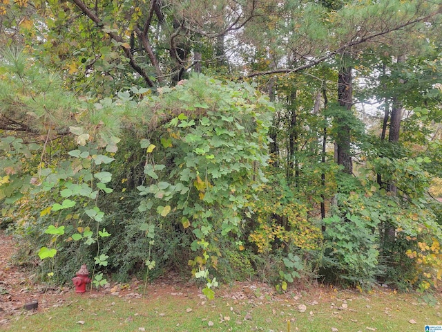 Listing photo 2 for LOT18 Strong St Unit 18, Roanoke AL 36274