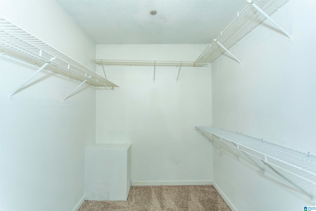 spacious closet with light colored carpet