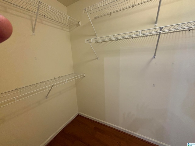 spacious closet featuring dark hardwood / wood-style floors