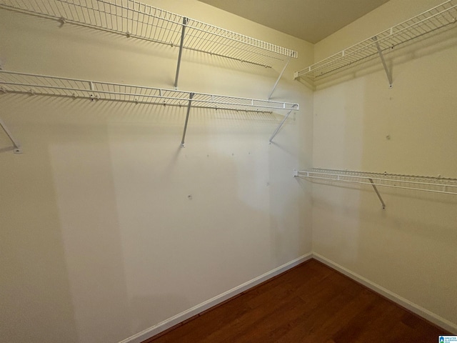 spacious closet featuring hardwood / wood-style flooring