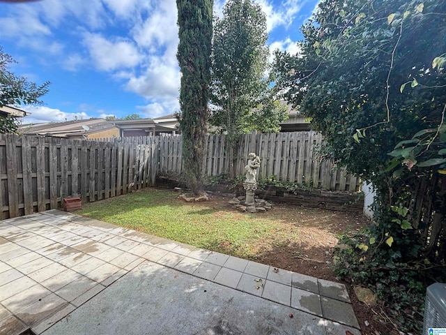 view of yard with a patio area