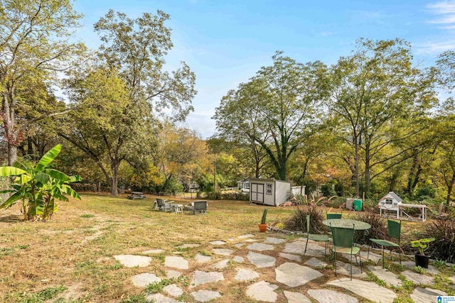 view of yard with a patio area and a shed