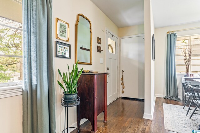 foyer entrance with plenty of natural light and dark hardwood / wood-style floors