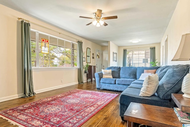 living room with dark hardwood / wood-style floors and a wealth of natural light