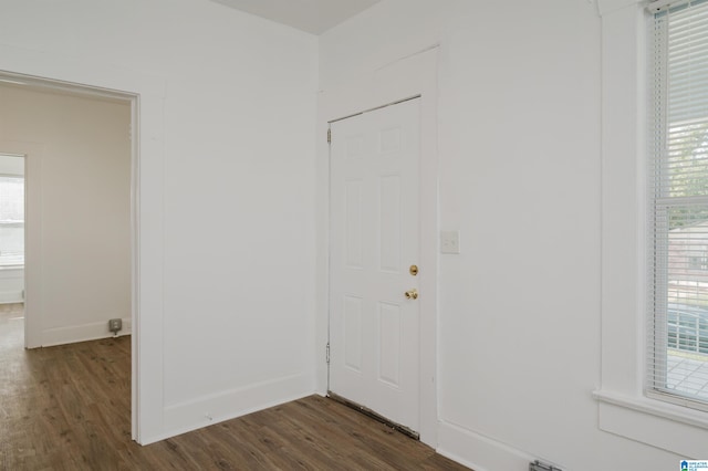 foyer featuring dark hardwood / wood-style floors