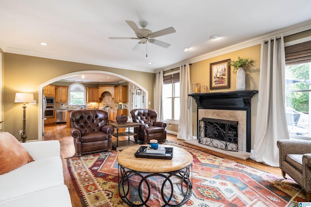 living room with ornamental molding, a wealth of natural light, and light wood-type flooring