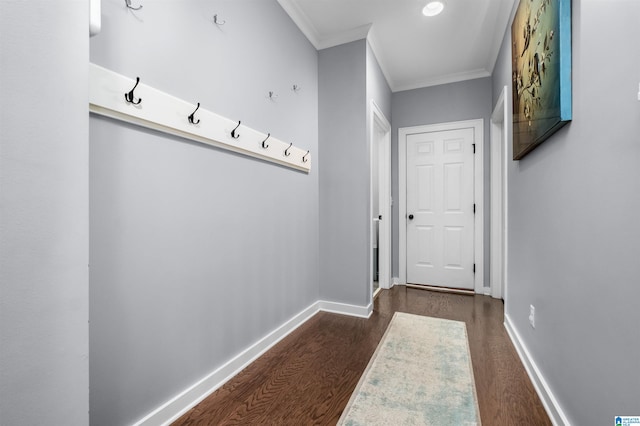 mudroom with dark wood-type flooring and ornamental molding