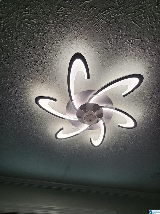 details with a textured ceiling