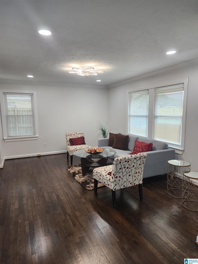 living room with crown molding, a textured ceiling, and dark hardwood / wood-style flooring