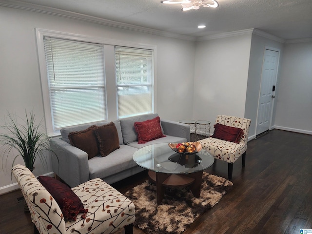 living room featuring dark hardwood / wood-style flooring, a textured ceiling, and crown molding