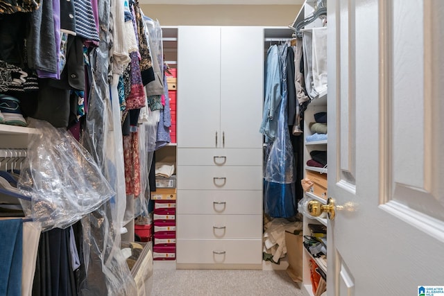 206 Morningside Cir Unit 206, Mountain Brook, AL 35213 - spacious closet featuring carpet floors