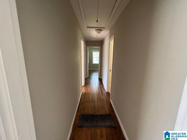 corridor featuring dark wood-type flooring