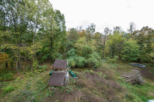 view of yard with a wooded view