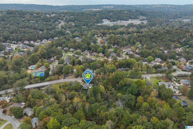 aerial view of a forest