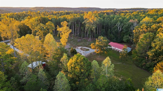 aerial view