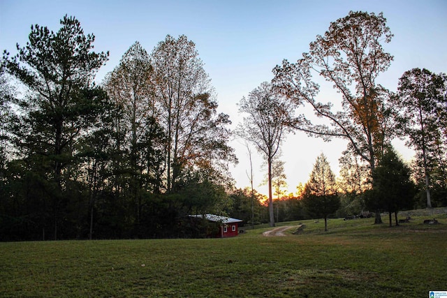 view of yard at dusk