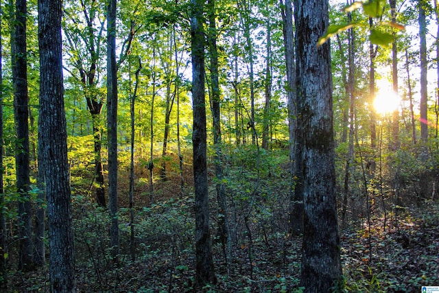 view of nature