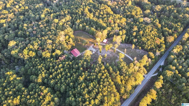 bird's eye view