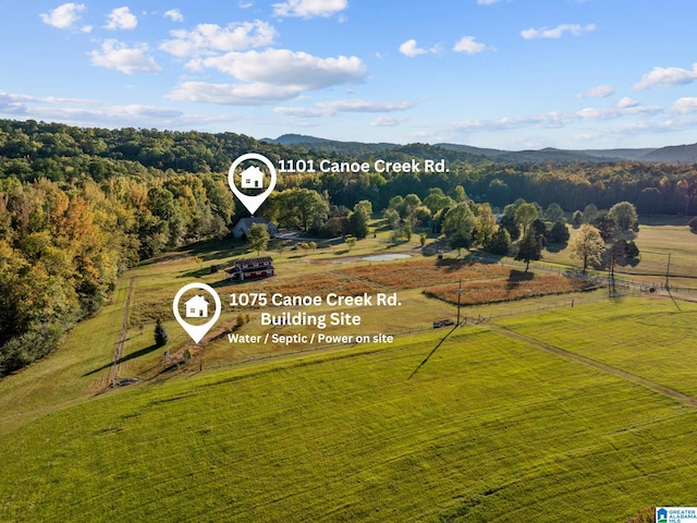 drone / aerial view featuring a rural view