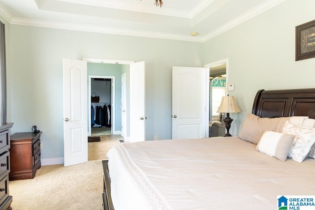 carpeted bedroom featuring a closet, crown molding, a raised ceiling, and a walk in closet