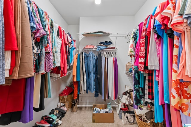 spacious closet with carpet floors