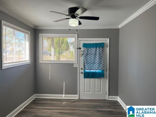 doorway featuring crown molding, dark hardwood / wood-style floors, and ceiling fan