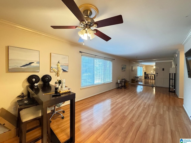 office space with ornamental molding, light hardwood / wood-style floors, and ceiling fan