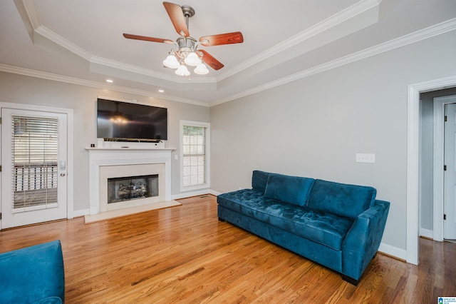 living room featuring hardwood / wood-style flooring, ceiling fan, crown molding, and a tray ceiling