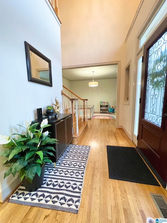 foyer entrance with hardwood / wood-style flooring