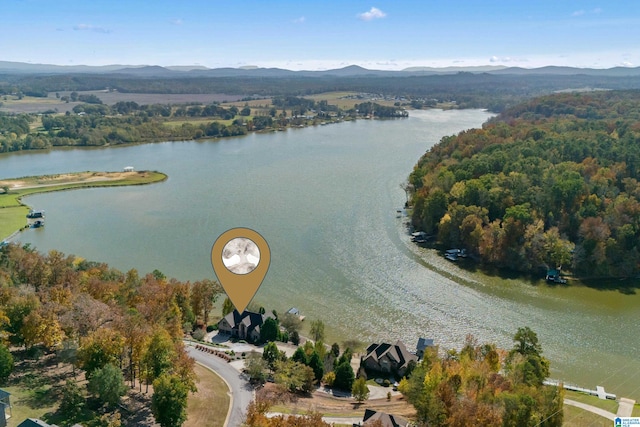 drone / aerial view featuring a water and mountain view